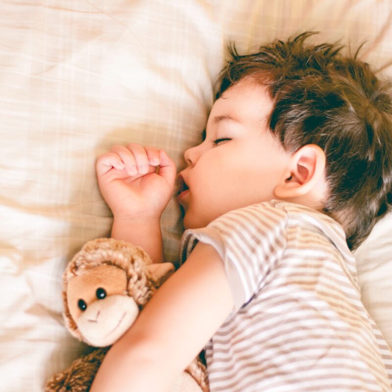 Giấc ngủ đóng vai trò quan trọng trong việc phát triển trí tuệ