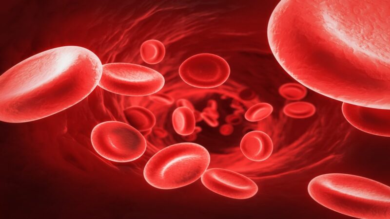 Thiếu máu gây ảnh hưởng đến chất lượng cuộc sống của người bệnh